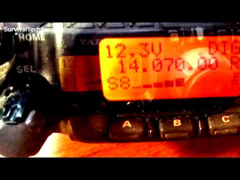 Howto Setup WolphiLink Radio Interface for PSK SSTV WEFAX  Android | Yaesu FT-817 Bugout Radio