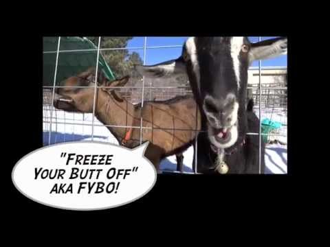 QRP Ham Radio Contest "FYBO" (Freeze Your Butt Off) 2015