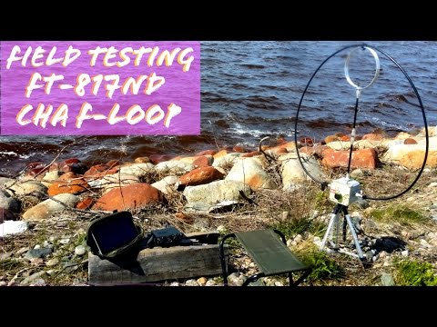 Chameleon F-Loop FT-817 | Field Test