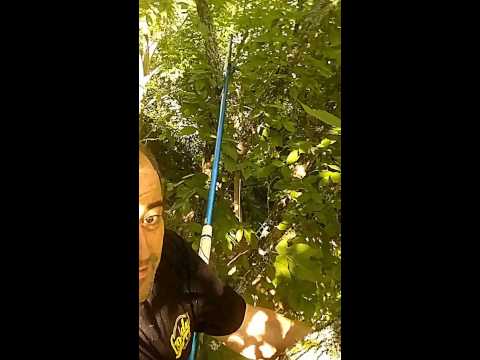 Up In The Tree... Rigging ham radio antennas