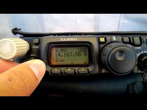 Yaesu FT-817ND + End-Fed on the Beach (Torreira)